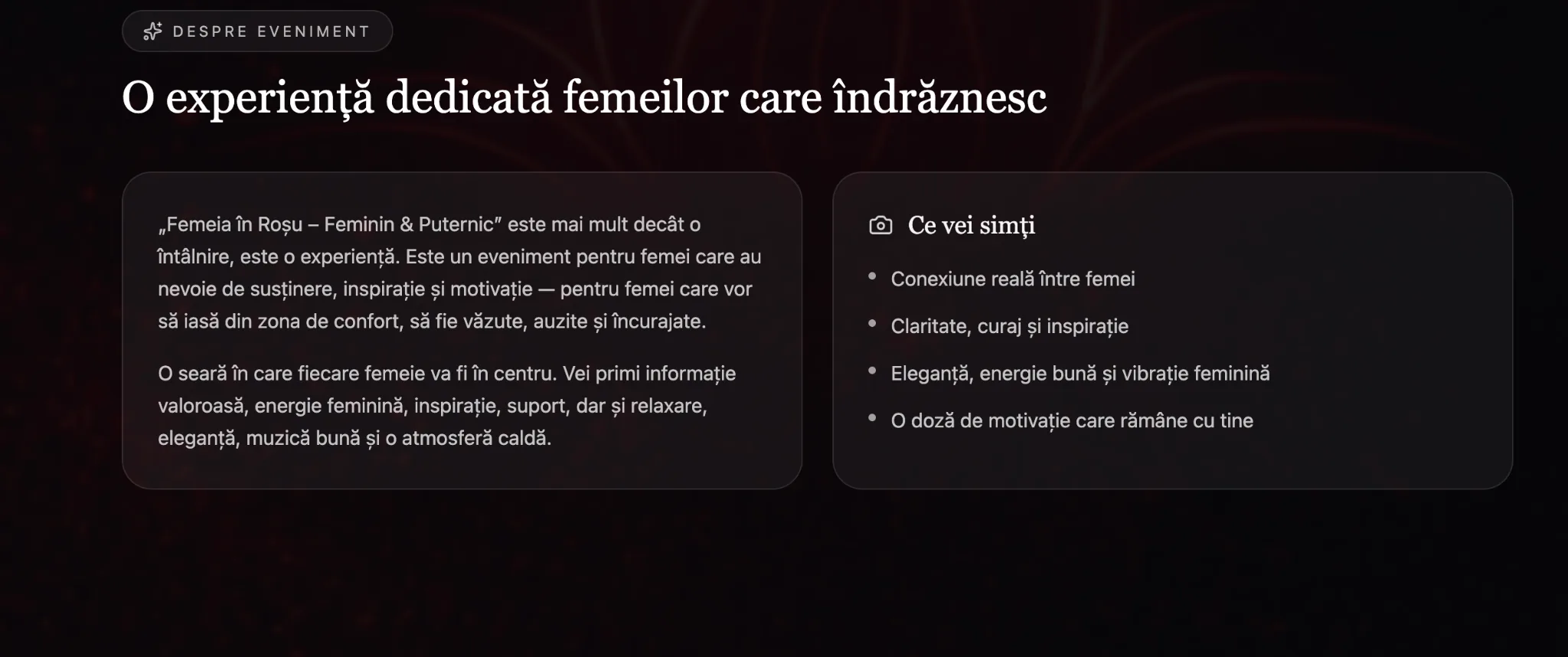 Vilm Group portfoliu — Femeia în Roșu, creare website și design Chișinău Moldova (imagine 3)